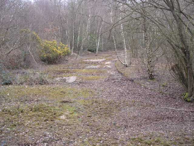 Cross in Hand 2007